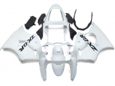 00-02 Blanco Brillo Liso Con Logo ZX6R Carenado