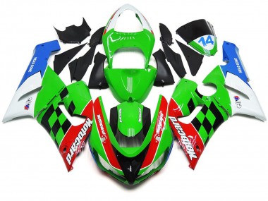 05-06 Cuadro Multicolor ZX6R Carenado
