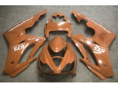 06-08 Bronce Daytona 675 Carenado