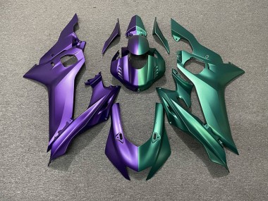 17-21 División Morada & Verde R6 Carenado