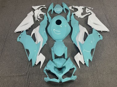 19-23 Agua ZX6R Carenado