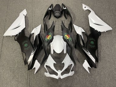 19-23 Cara Feliz ZX6R Carenado