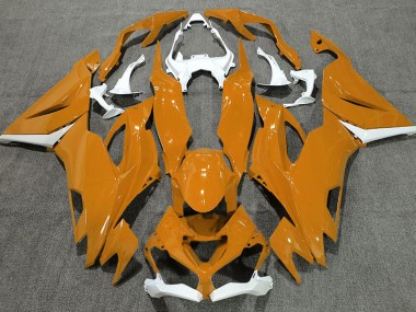 19-23 Naranja Brillante & Blanco ZX6R Carenado