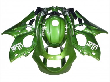 Kits Carenado Moto Yamaha YZF600R Thundercat 1996-2007 - Verde Blanco