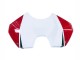 Carenados Moto Ducati Panigale V4 V4S 2018-2019 - Blanco Rojo Verde Negro Brillante