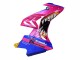 Carenados Moto BMW S1000RR 2015-2016 - Rosa Azul Tiburón
