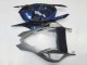 Carenados Moto BMW S1000RR 2009-2014 - Plata Azul Negro Brillante