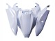 Carenados Moto Kawasaki ZX10R 2021-2025 - Blanco Negro