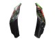 Carenados Moto Kawasaki ZX10R 2021-2025 - Verde Negro Rojo