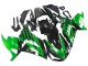 Kits Carenado Moto Kawasaki ZX14R ZZR1400 2012-2024 - Verde Negro Brillante